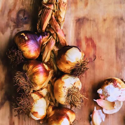 Crédit : Studio Poire et Cactus