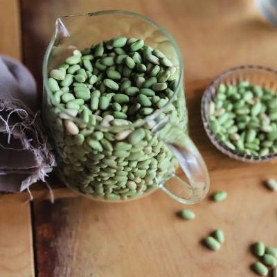 Crédit : Studio Poire et Cactus